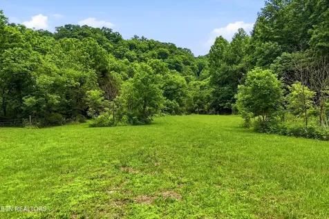 9613 Norris Freeway Powell TN 37849