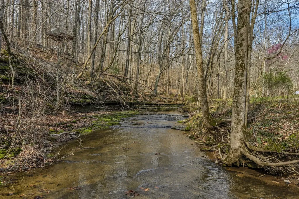7575 King Road Fairview TN 37062