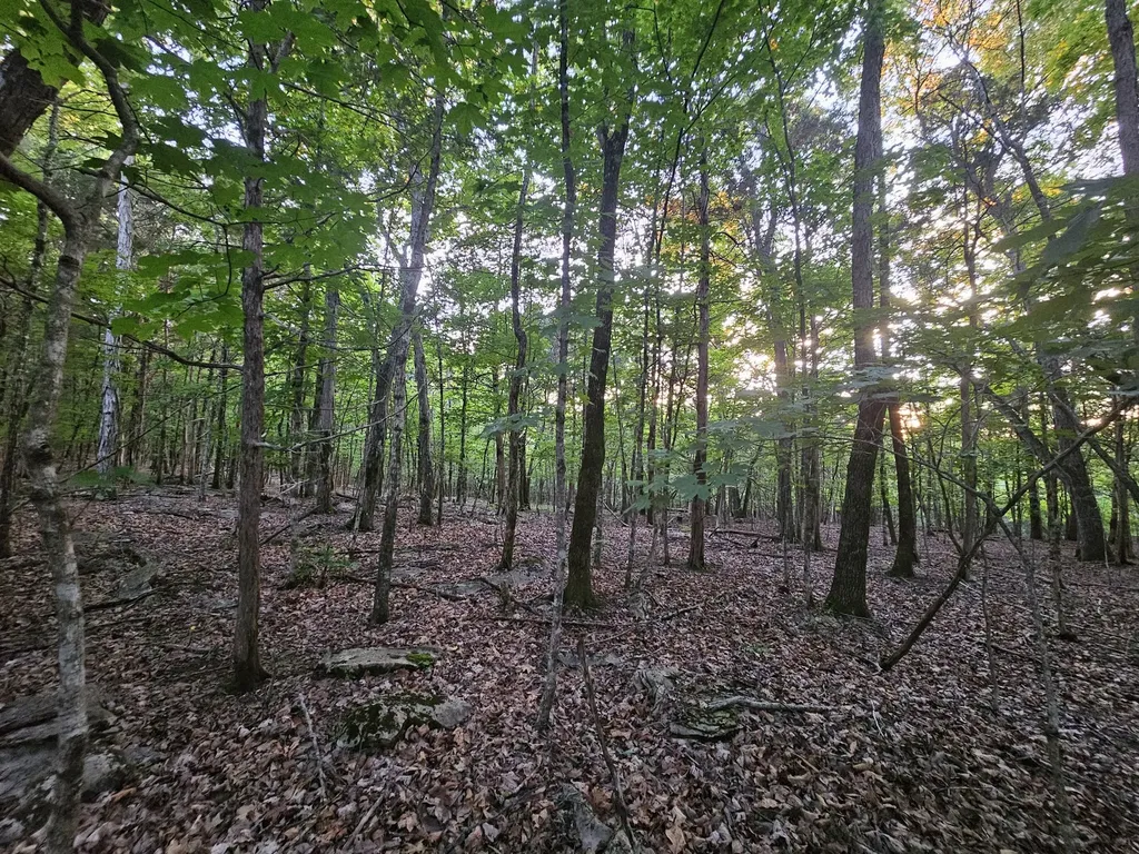 3 Sewanee Summit Road Decherd TN 37324