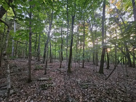 3 Sewanee Summit Road Decherd TN 37324