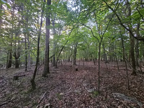 3 Sewanee Summit Road Decherd TN 37324
