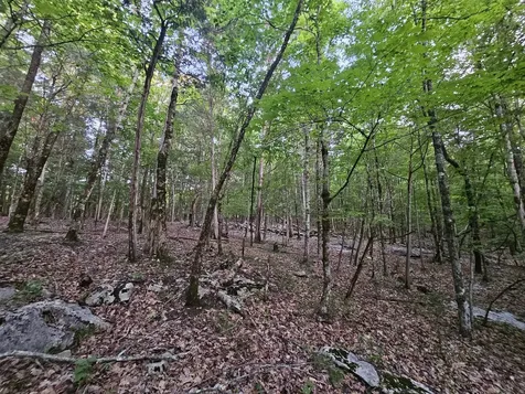 3 Sewanee Summit Road Decherd TN 37324