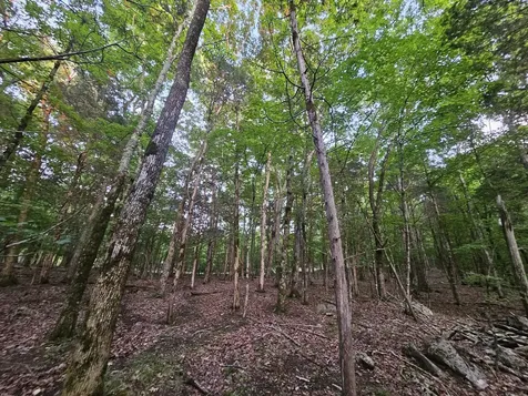 3 Sewanee Summit Road Decherd TN 37324