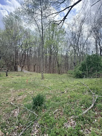 935 Sugar Tree Knob Road Liberty TN 37095