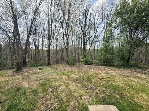 935 Sugar Tree Knob Road Liberty TN 37095