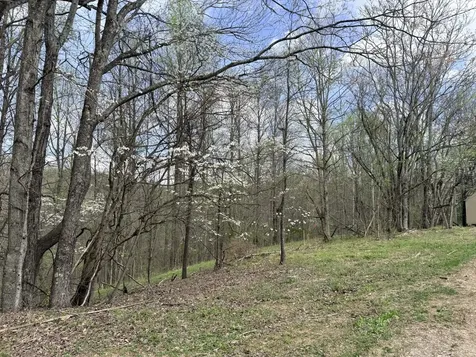 935 Sugar Tree Knob Road Liberty TN 37095