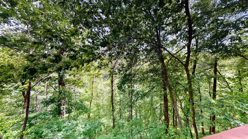 8045 Sarah Thomas Road Silver Point TN 38582