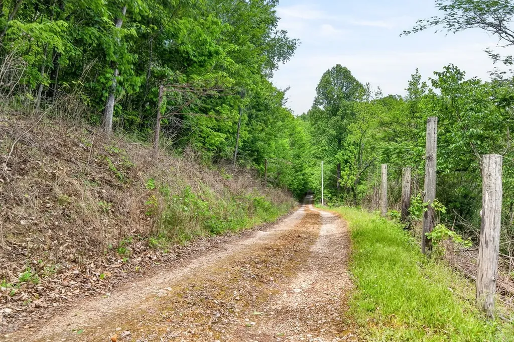 8045 Sarah Thomas Road Silver Point TN 38582