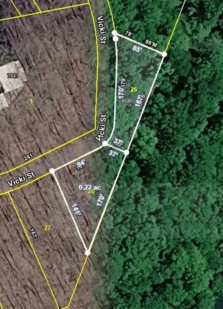 8045 Sarah Thomas Road Silver Point TN 38582