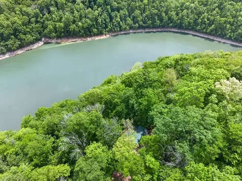 8045 Sarah Thomas Road Silver Point TN 38582
