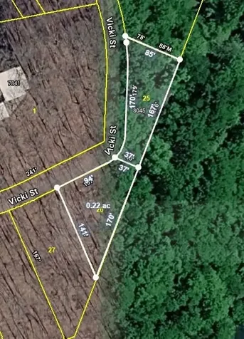 8045 Sarah Thomas Road Silver Point TN 38582