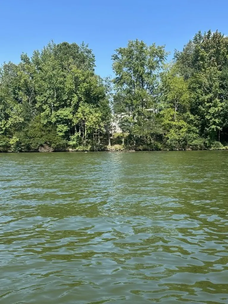 73 Cypress Point Drive Winchester TN 37398