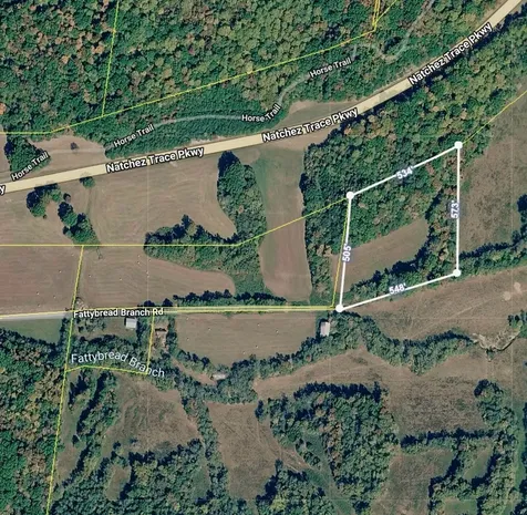 4190 Fattybread Branch Road Williamsport TN 38487