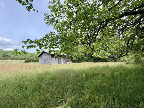 4190 Fattybread Branch Road Williamsport TN 38487