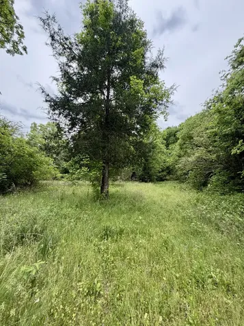 4190 Fattybread Branch Road Williamsport TN 38487