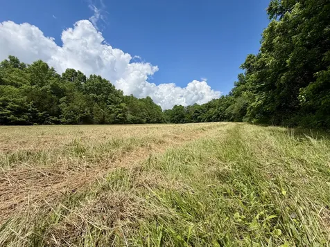 4190 Fattybread Branch Road Williamsport TN 38487