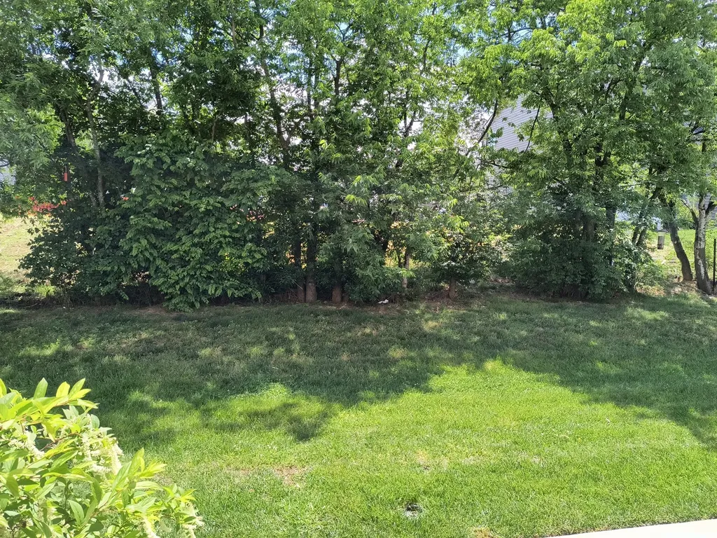 1350 Vilda Way Lebanon TN 37087