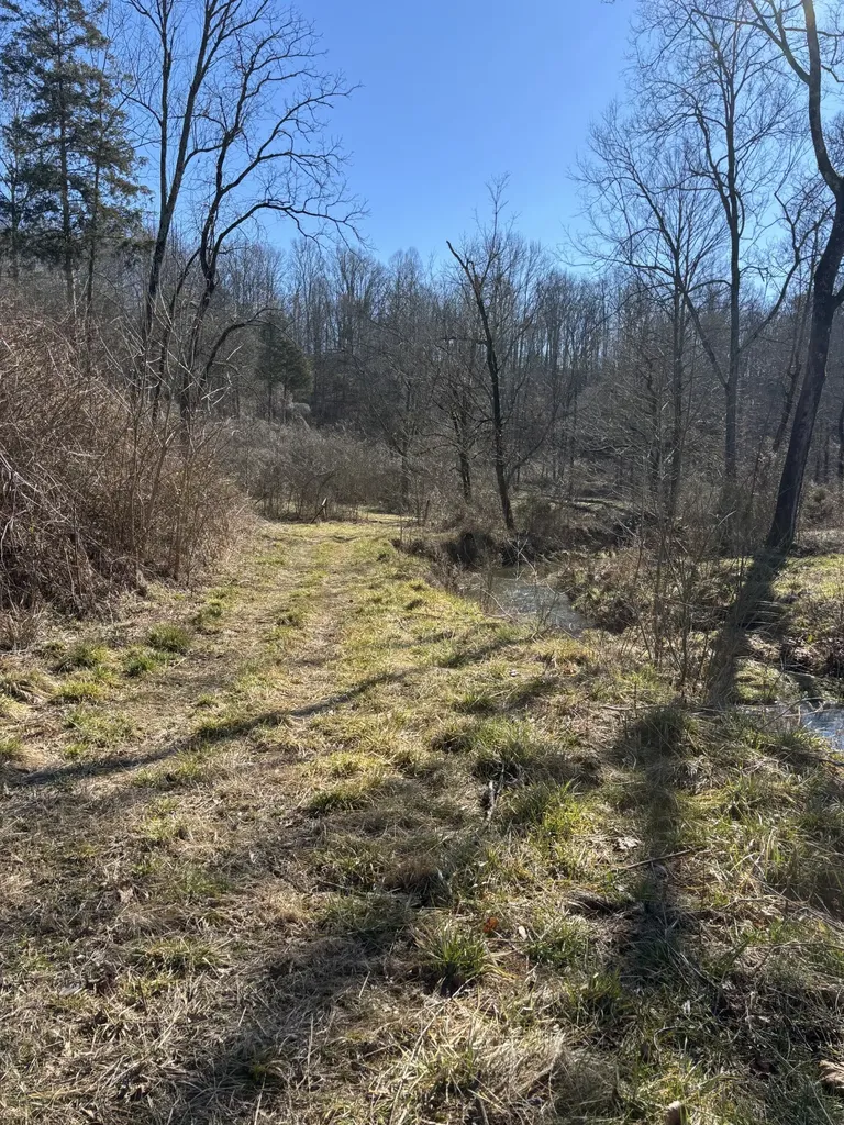 15634 Old State Highway 28 Pikeville TN 37367