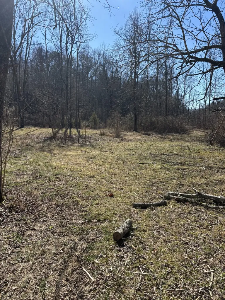 15634 Old State Highway 28 Pikeville TN 37367