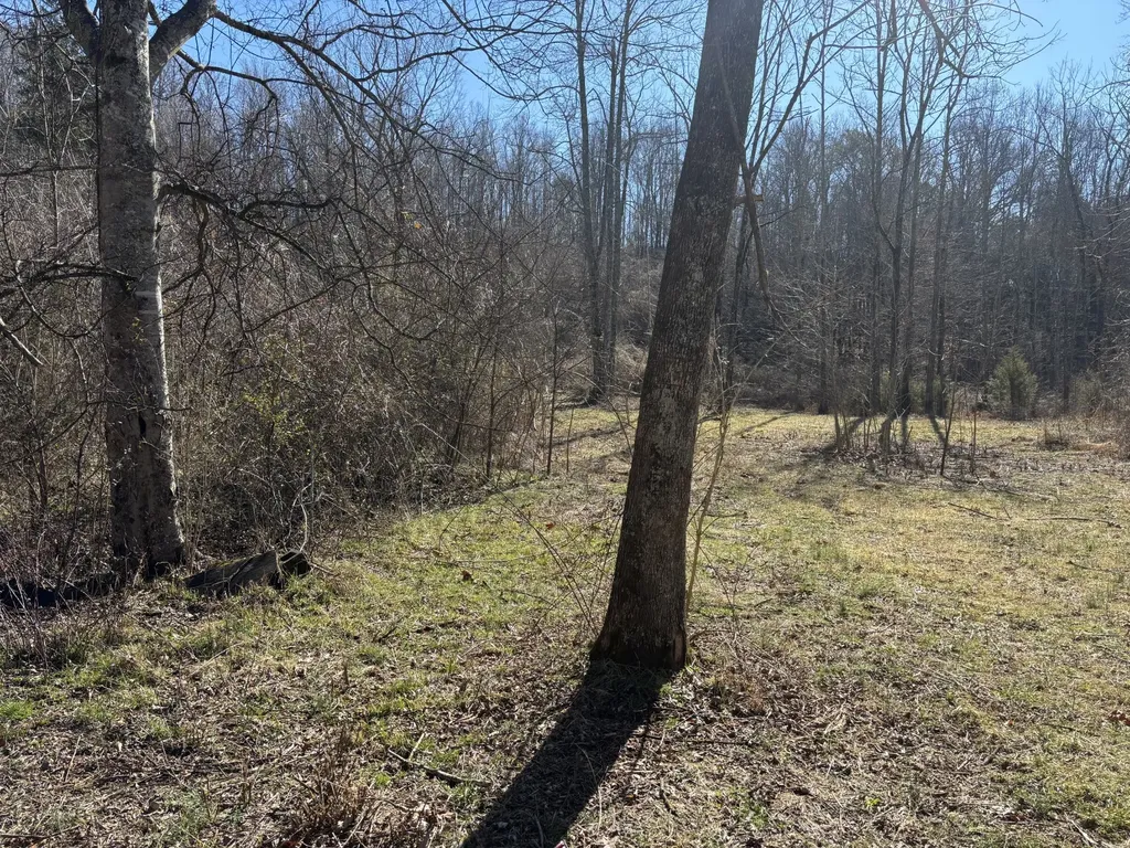 15634 Old State Highway 28 Pikeville TN 37367