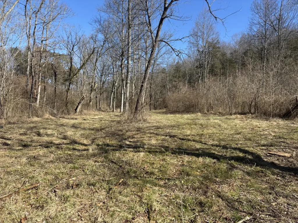 15634 Old State Highway 28 Pikeville TN 37367
