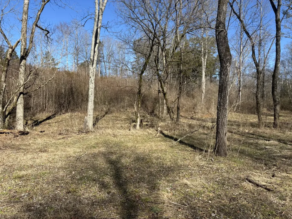 15634 Old State Highway 28 Pikeville TN 37367