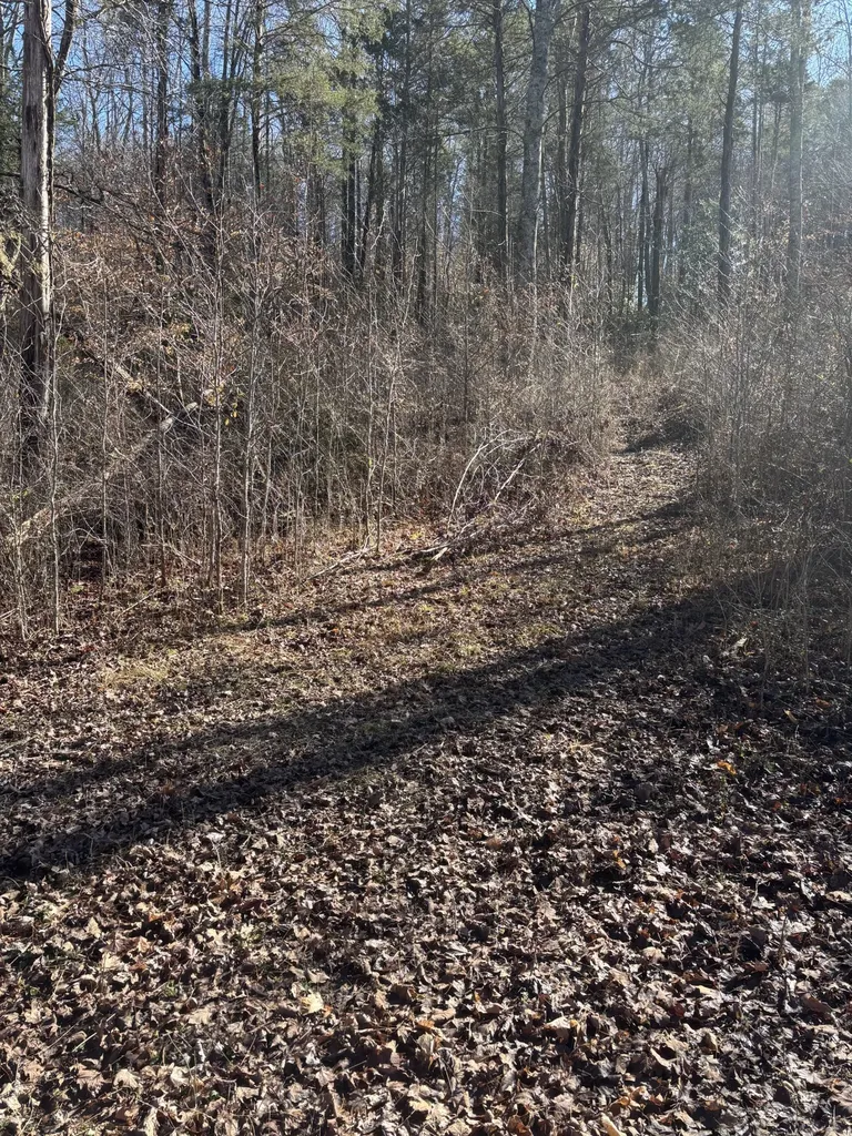 15634 Old State Highway 28 Pikeville TN 37367