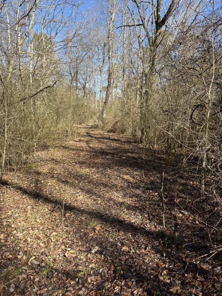 15634 Old State Highway 28 Pikeville TN 37367