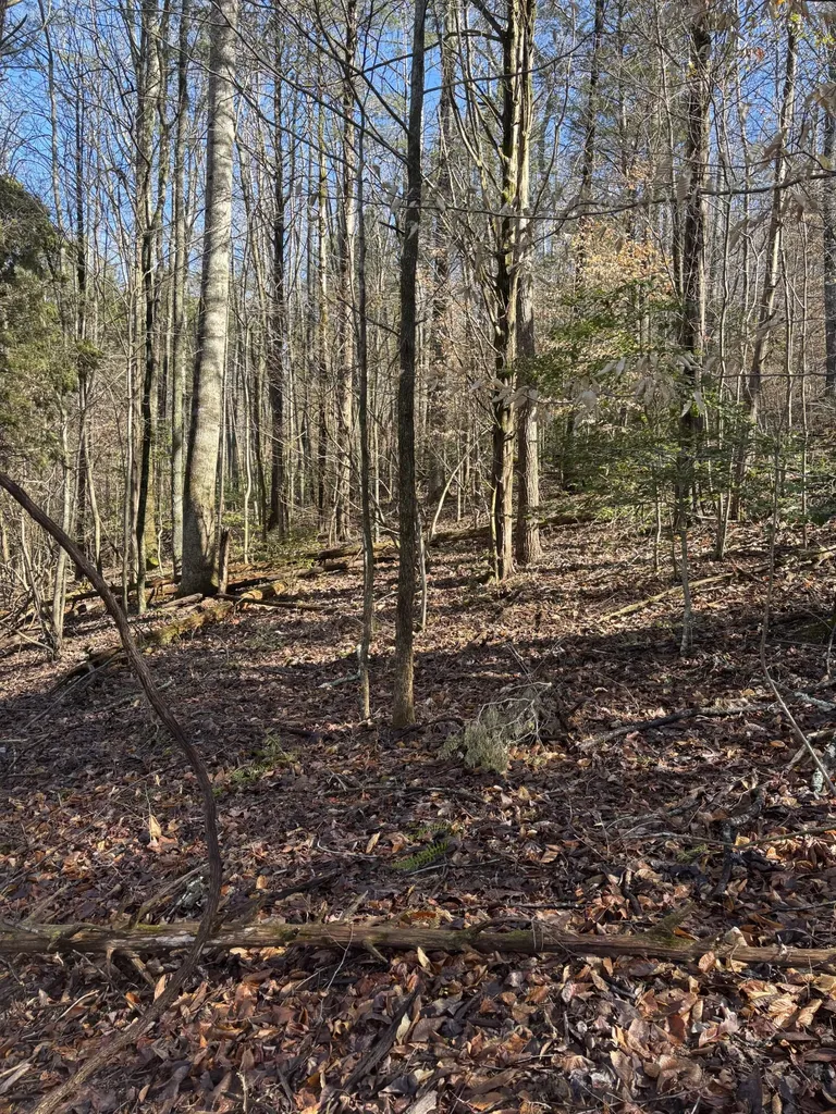 15634 Old State Highway 28 Pikeville TN 37367