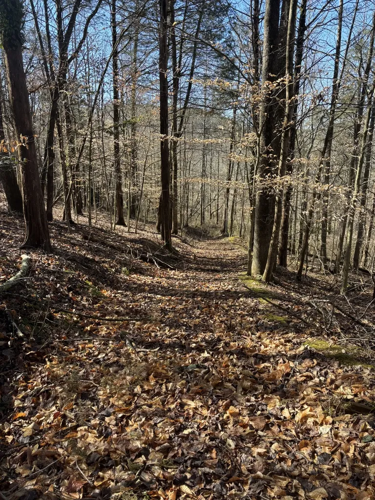 15634 Old State Highway 28 Pikeville TN 37367