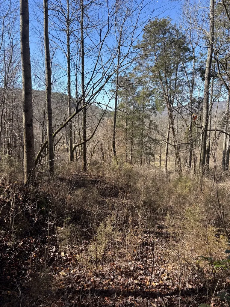 15634 Old State Highway 28 Pikeville TN 37367