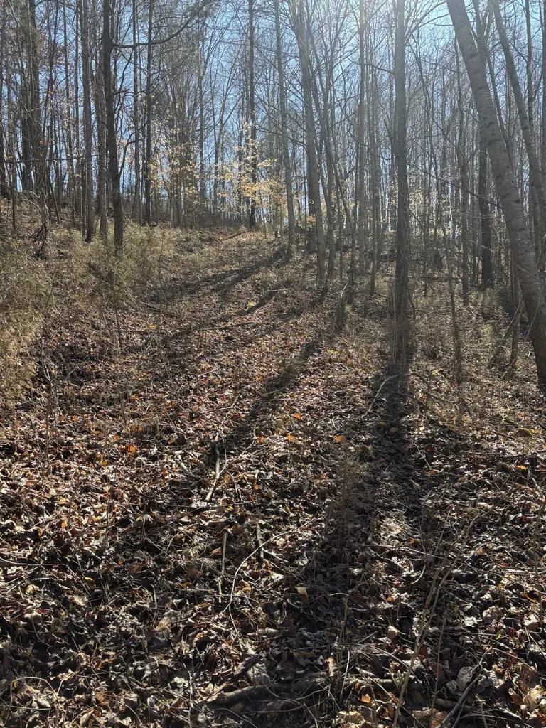 15634 Old State Highway 28 Pikeville TN 37367