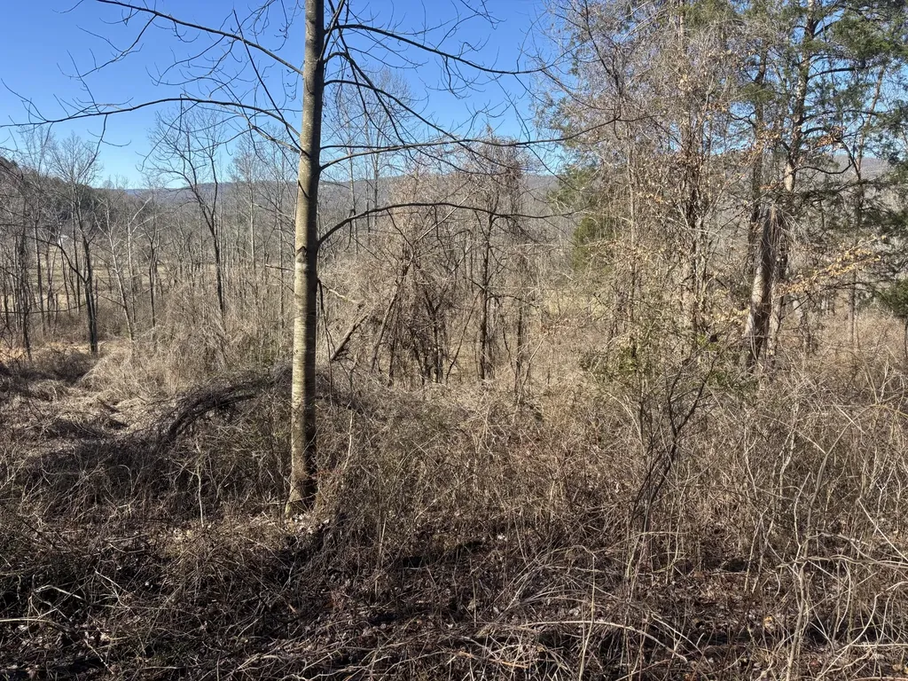 15634 Old State Highway 28 Pikeville TN 37367
