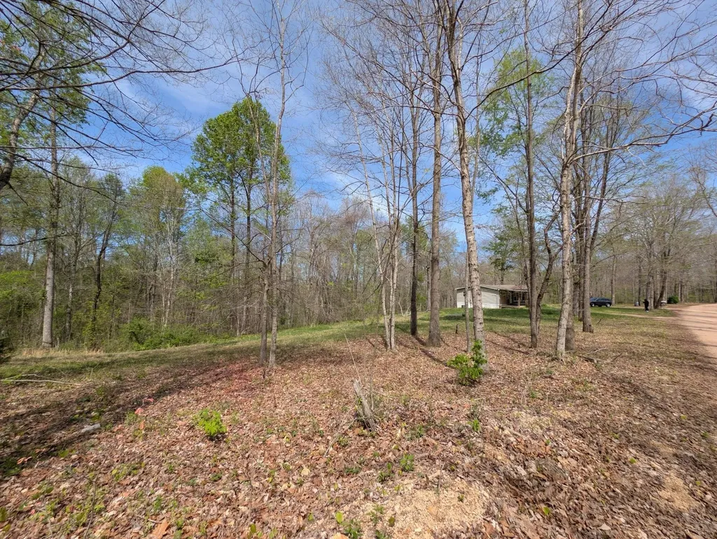 10740 Bear Creek Road Bon Aqua TN 37025