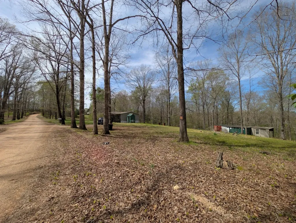 10740 Bear Creek Road Bon Aqua TN 37025