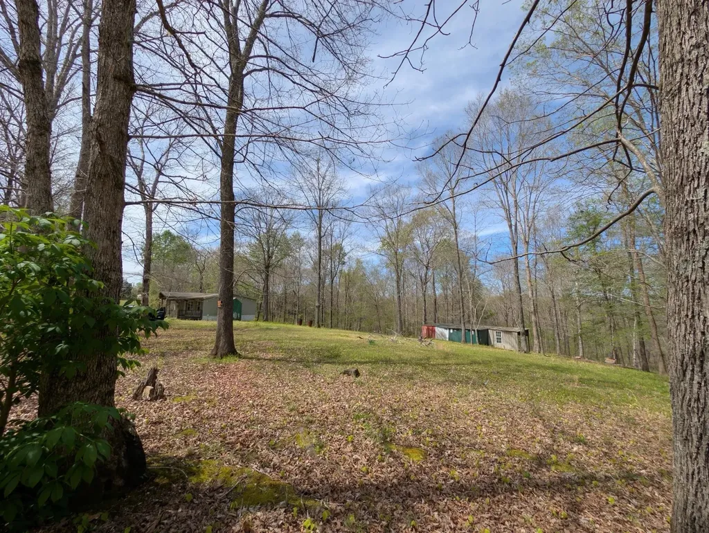 10740 Bear Creek Road Bon Aqua TN 37025
