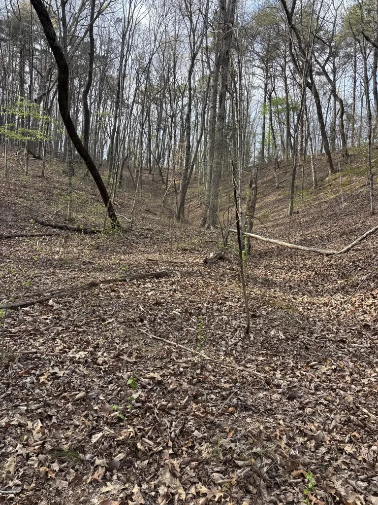 408 Back Valley Road Sale Creek TN 37373