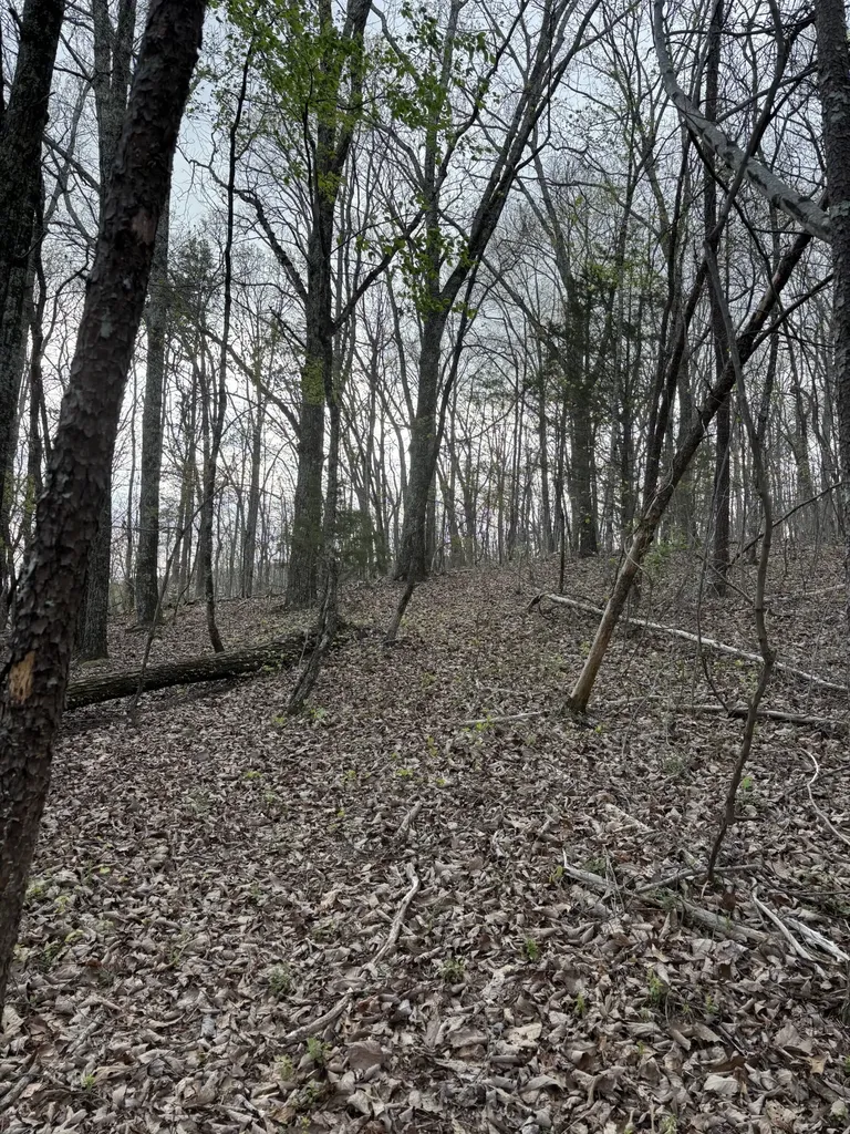 408 Back Valley Road Sale Creek TN 37373