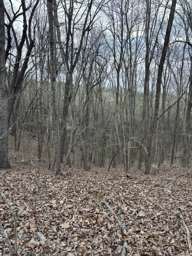 408 Back Valley Road Sale Creek TN 37373