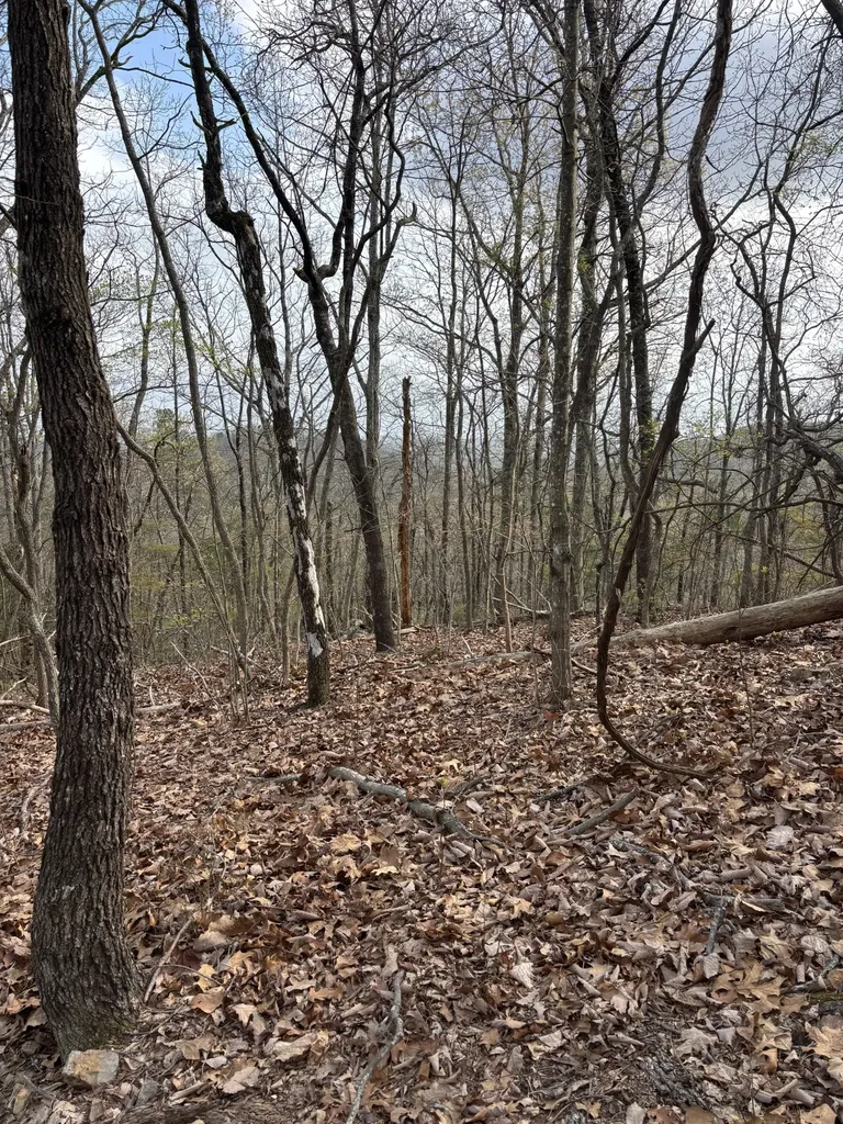 408 Back Valley Road Sale Creek TN 37373