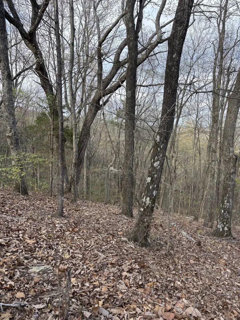 408 Back Valley Road Sale Creek TN 37373