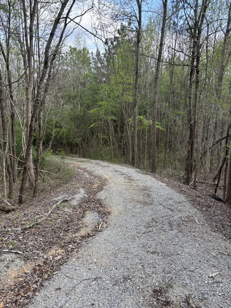 408 Back Valley Road Sale Creek TN 37373
