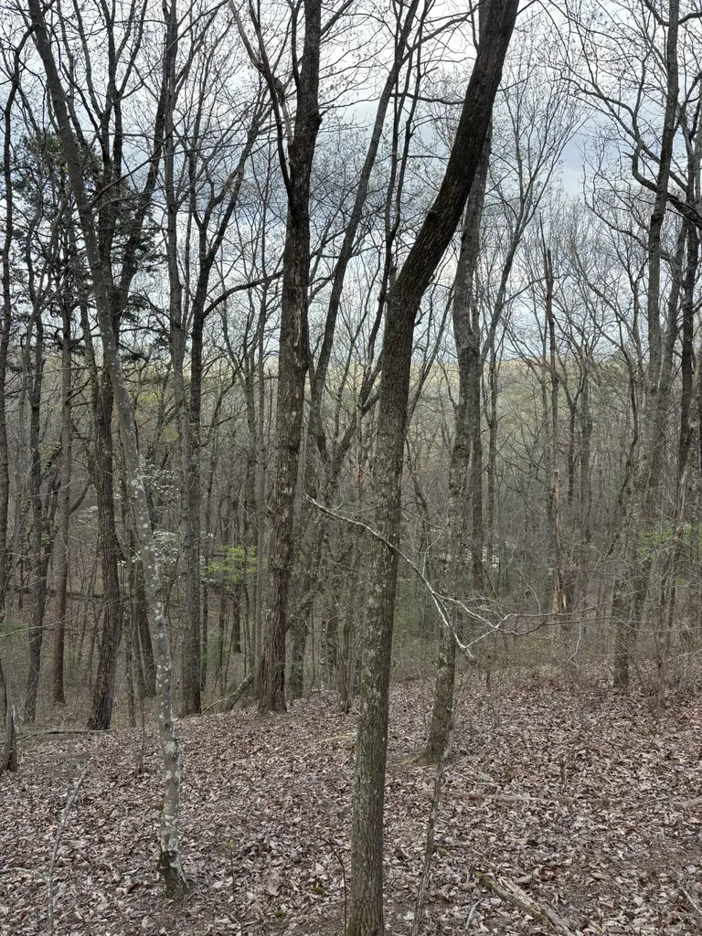408 Back Valley Road Sale Creek TN 37373
