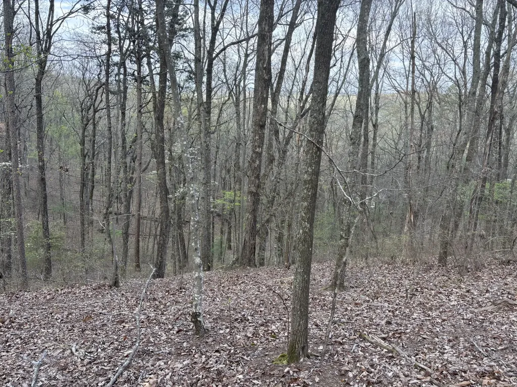 408 Back Valley Road Sale Creek TN 37373