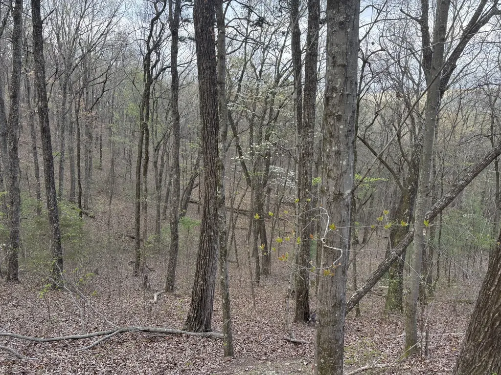 408 Back Valley Road Sale Creek TN 37373