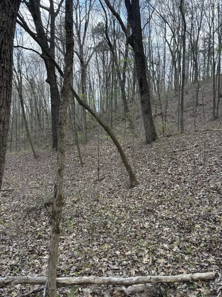 408 Back Valley Road Sale Creek TN 37373