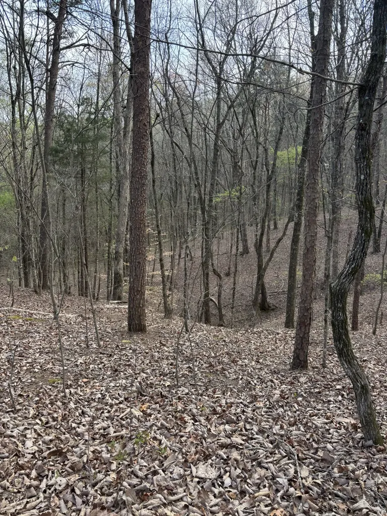 408 Back Valley Road Sale Creek TN 37373