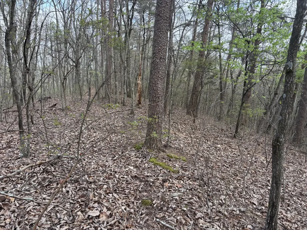 408 Back Valley Road Sale Creek TN 37373