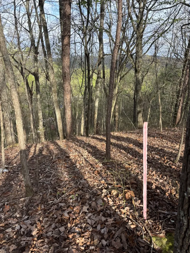 408 Back Valley Road Sale Creek TN 37373