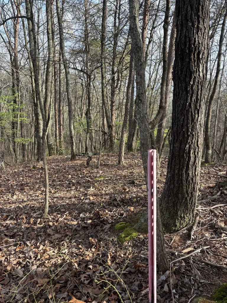 408 Back Valley Road Sale Creek TN 37373